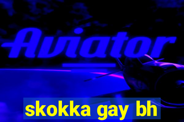 skokka gay bh